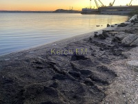 Новости » Общество: Пляж на «Черепашке» в Керчи охвачен цветущими водорослями