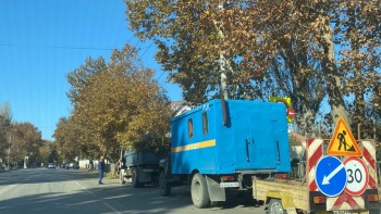 Новости » Общество: На Генерала Петрова продолжают обрезать аварийные деревья