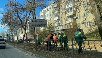 Новости » Общество: В Керчи вдоль дорог собирают опавшую листву