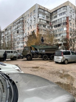 Новости » Общество: На Сморжевского во дворах проводят обрезку деревьев