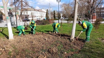 Новости » Общество: Озеленители приводят в порядок кусты роз в керченских скверах