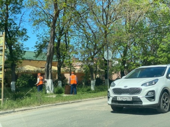 Новости » Общество: На Кирова вдоль дороги косили траву