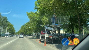 Новости » Общество: В Керчи на Генерала Петрова проводили обрезку деревьев