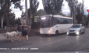 Новости » Общество: В Керчи водитель чуть не снес пешеходов на пешеходном переходе (видеорегистратор)