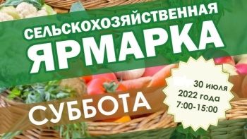 Новости » Общество: Завтра в Керчи вновь пройдет сельхозярмарка