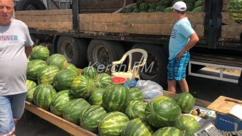 Новости » Общество: Картошка от 15, помидоры от 20 – сельхозярмарка проходит в Керчи
