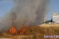 Новости » Общество: Высокую пожарную опасность в Крыму сменит чрезвычайная