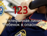 Новости » Криминал и ЧП: Житель Ленинского района 5 лет насиловал дочку сожительницы