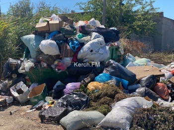 Новости » Общество: Керчане жалуются на горы мусора на ул. Полевой