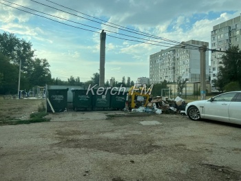 Новости » Общество: Керчане пожаловались на очередную свалку у мусорных контейнеров