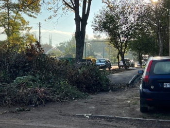 Новости » Общество: Свалка мусора и веток переехала керчанам под окна по ул. Льва Толстого