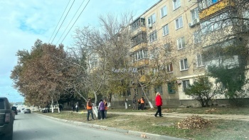 Новости » Общество: В Керчи на уборку вновь вышли осужденные