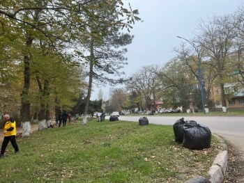 Новости » Общество: В Аршинцево «трудовой десант» борется с листвой на обочинах