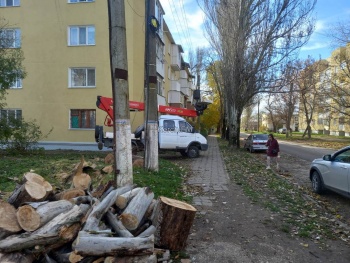 Новости » Общество: Больше всего деревьев при непогоде в Керчи упало в Аршинцево