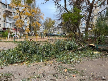 Новости » Общество: УК некогда: поваленные деревья ветром во дворе по Орджоникидзе никто не убирает