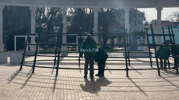 Новости » Общество: В новом месте: в Керчи начали собирать главную новогоднюю елку