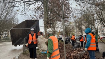 Новости » Общество: На Генерала Петрова коммунальщики собирают листву в дождь