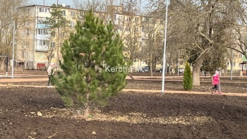 Новости » Общество: Парк им. Гагарина в Керчи продолжают озеленять