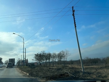 Новости » Общество: В Керчи начали вывозить ветки деревьев, спиленные у обочин