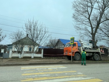 Новости » Общество: За остановкой на Партизанском пилят ветки огромного дерева