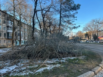 Новости » Общество: Издевательство: водителям все ещё сложно выезжать со дворов из-за наваленных веток