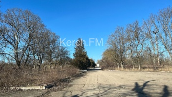 Новости » Общество: Приморский парк Керчи требует уборки