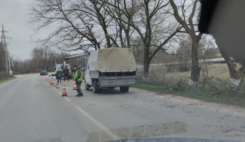 Новости » Общество: Неужели: по дороге на «Залив» начали убирать ветки деревьев