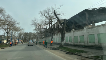 Новости » Общество: На Кирова и Горького приводят в порядок газоны