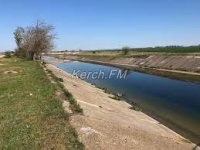 Новости » Общество: Вода из Северо-Крымского канала пригодна для полива и питья