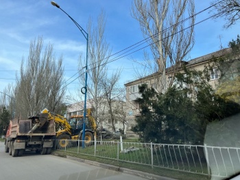 Новости » Общество: Вдоль дорог по Орджоникидзе пилят аварийные деревья