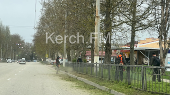 Новости » Общество: На Генерала Петрова  и Кирова косили траву вдоль дороги