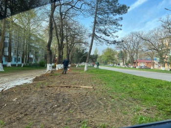 Новости » Общество: На  Орджоникидзе и Льва Толстого принялись к покосу и повсеместной уборке