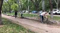 Новости » Общество: Бюджетников в Керчи в дождь выгнали на субботник, а потом передумали