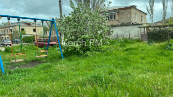 Новости » Общество: Керчане просят покосить траву на Жени Дудник около детской площадки