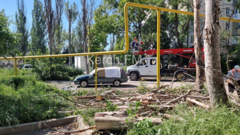 Новости » Общество: Во дворах на Горького пилили деревья