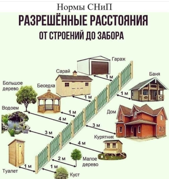 Новости » Общество: В Керчи соседи поссорились из-за куста малины