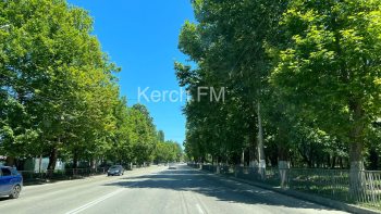 Новости » Общество: Светофор на Генерала Петрова в Керчи плохо видно из-за веток