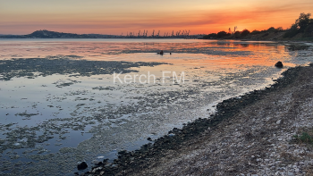 Новости » Общество: Море в зоне отдыха на Сморжевского захватили медузы и трава