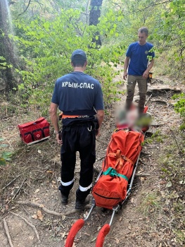 Новости » Общество: В лесу Крыма спасатели за выходные дважды оказывали помощь туристам