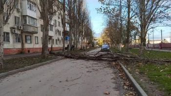 Новости » Общество: Последствия урагана устраняют в Керчи