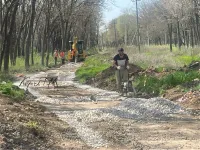 Новости » Общество: Работы по благоустройству Казенного сада возобновили