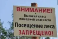 Новости » Общество: В Крыму ввели ограничения на посещение лесов до 14 апреля