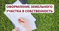 Новости » Общество: Администрация Керчи просит поторопиться дачников с оформлением участков в собственность