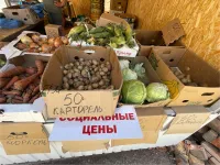 Новости » Общество: Цены на продукты на рынках в Аршинцево в Керчи