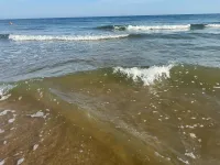 Новости: Керчанам и гостям есть где плавать в чистой воде