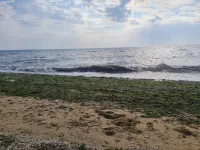 Пляжи Феодосии открыты для купания