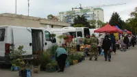 Новости » Общество: В Керчи у ЦДЮТ проходит сельскохозяйственная ярмарка