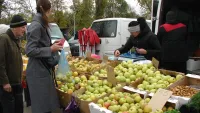 В Крыму накануне Нового года пройдет 108 сельскохозяйственных ярмарок