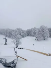 Снежная зима пришла в Крым