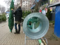 Новости » Общество: Впервые в Керчи в этом году новогодние елки упаковывают